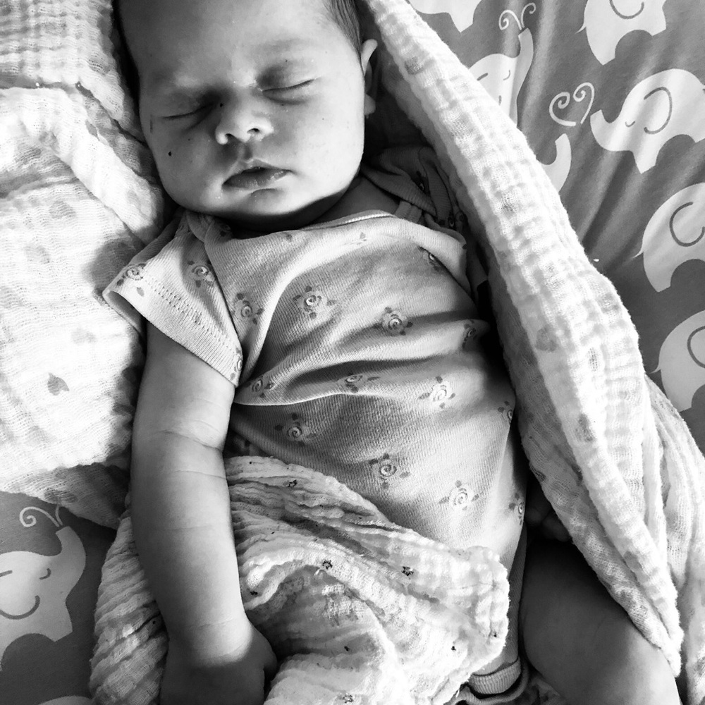 Meet your Posher, Jan